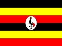 Test your knowledge - Flags of countries quizzes